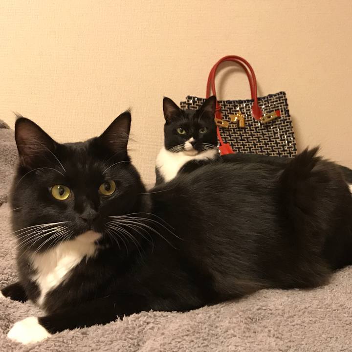 732589c2 1b26 4947 82e1 b6d9a6f3ff7b