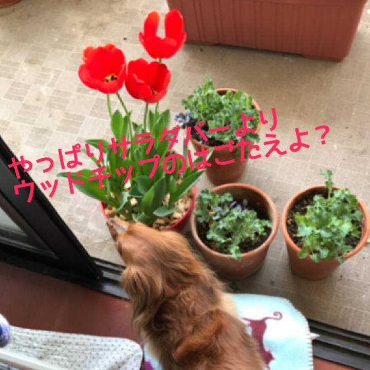 7325e2b8 43a6 42ed 956d f510d8a667ce