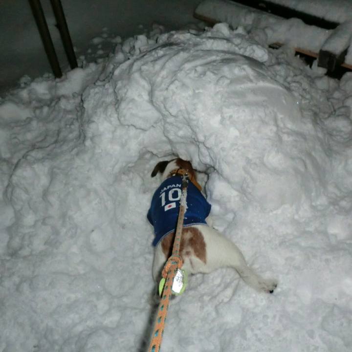 7326452f 80d1 4672 8ec0 2f3c66dc494b