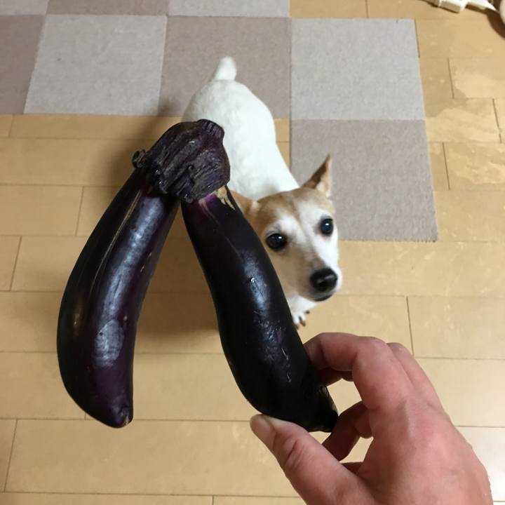 73266720 ad88 4590 86b5 f876d1e1b9f6