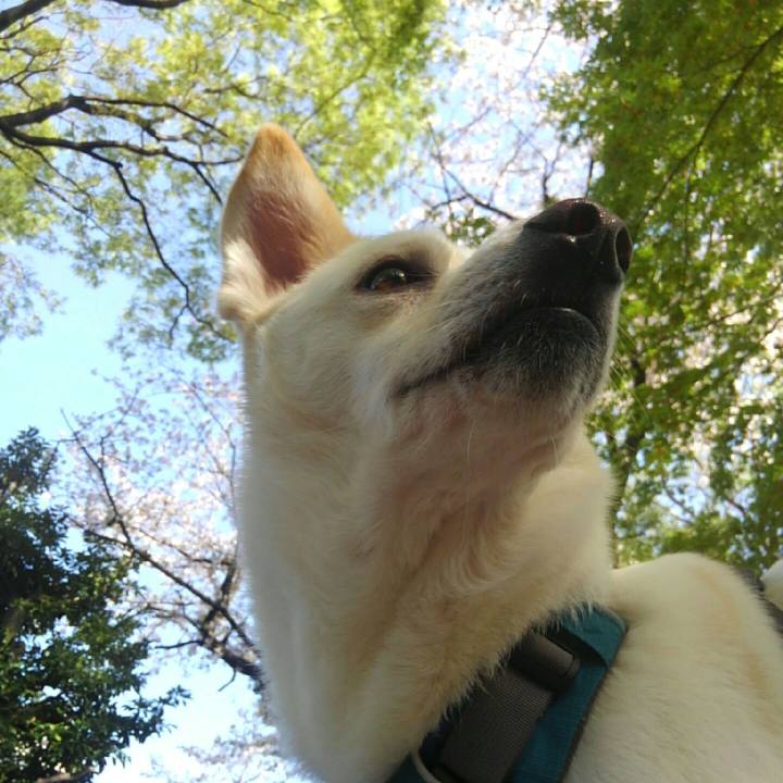 7326cb34 d791 4ee5 a983 4d21201cb1cb