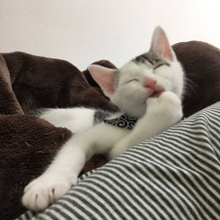 73271c44 a29d 499d 8e34 946918bfa076