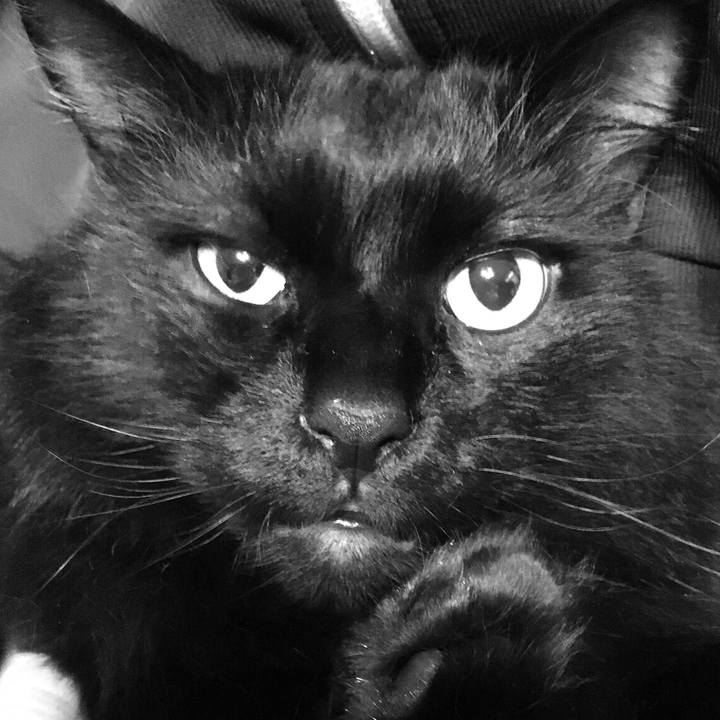 7328b44f a40a 4899 a8cf e2afe80d6169