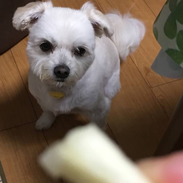 73291e38 5962 4b36 a4fc c3d365c3a24a