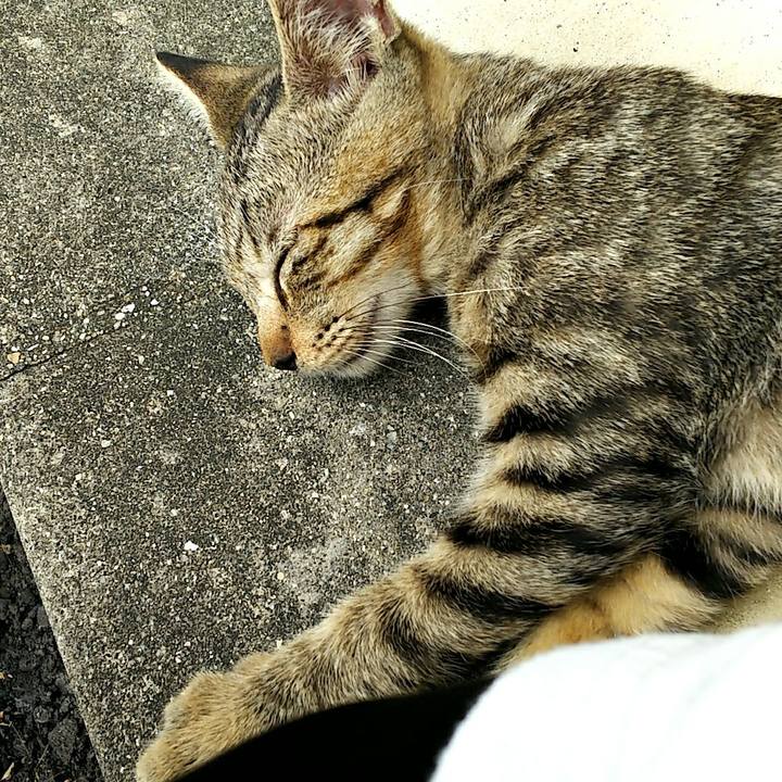 7329859e bdfc 4829 8de6 eb7d06238d96