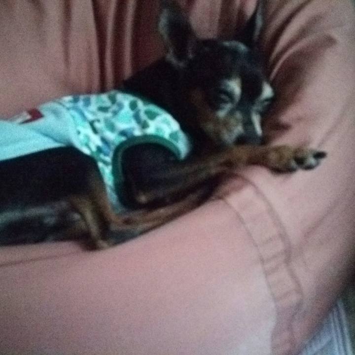 7329a11b 62c0 428d 91a3 76f60dff317d