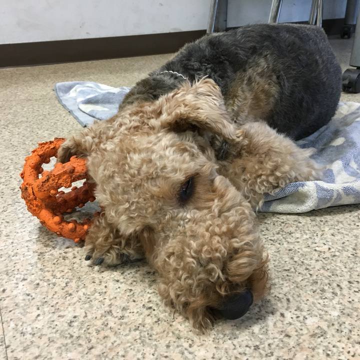 7329f284 b3e9 4b14 9ff9 7a3ebe9ca53f