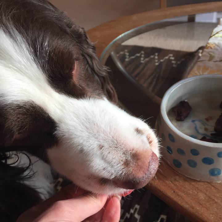 732a52b0 eb7a 4d7d 939f 30fd805db398