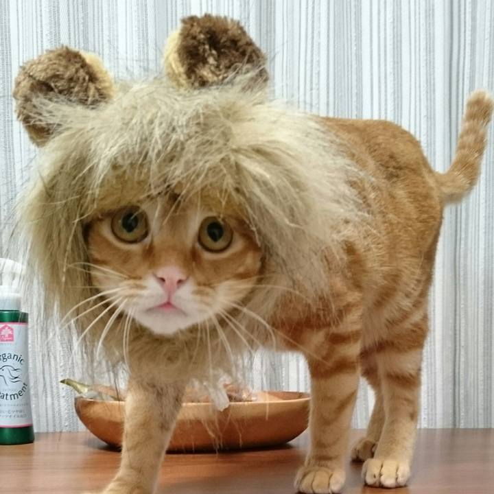 732a617c 1f47 4b12 9505 9af4c4ed7f01