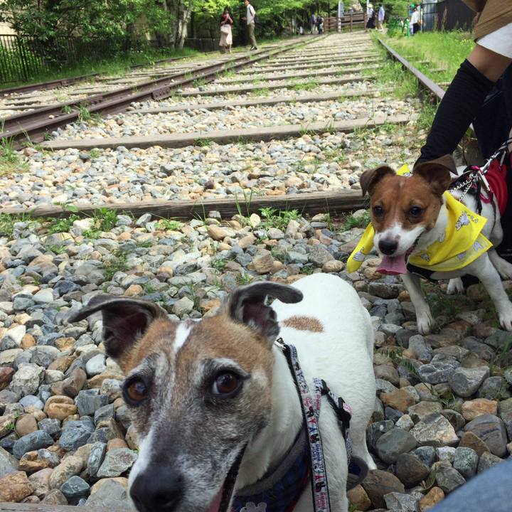 732a64f3 d80b 4650 8321 0a8e4659bb87