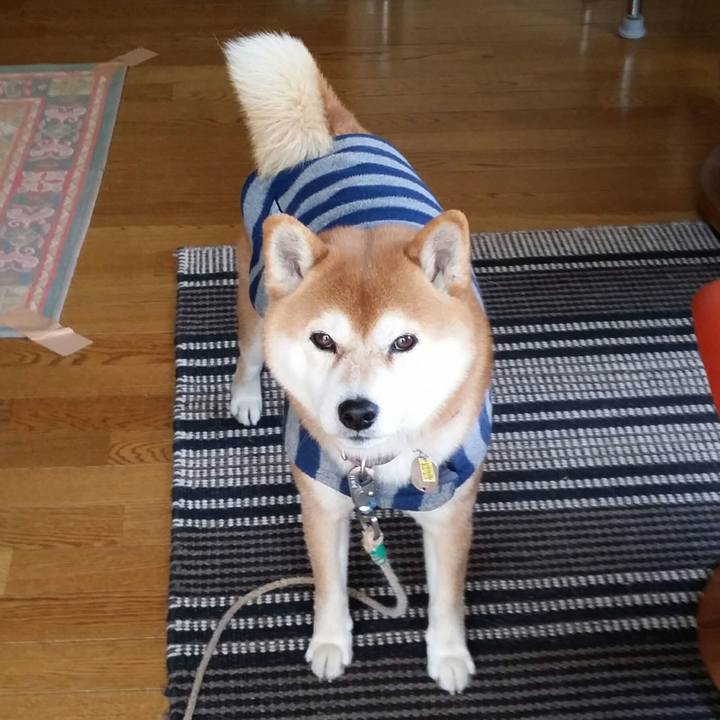 732ab86e a9e1 47a7 9d2f 3a635d093e1b