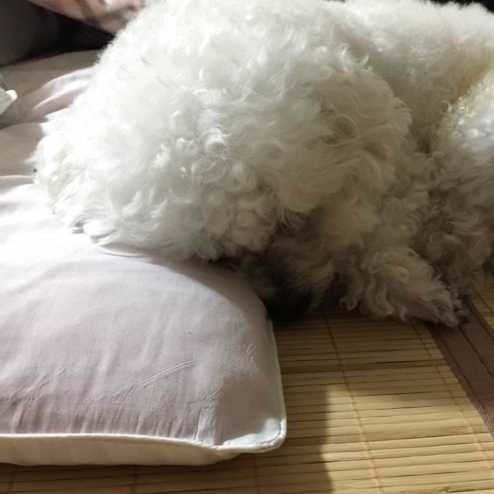 732ae892 2dfd 476e b10f 115283fecfe9