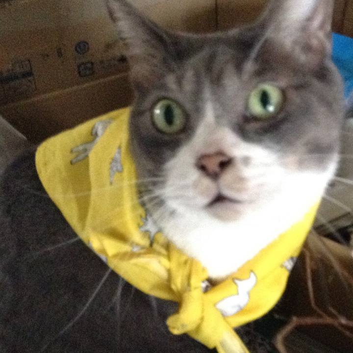 732b512a ef08 4ac0 9279 54af76adb494