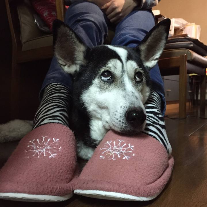 732b76c8 efaa 4b5f b9c1 ef7aec0b3fd4