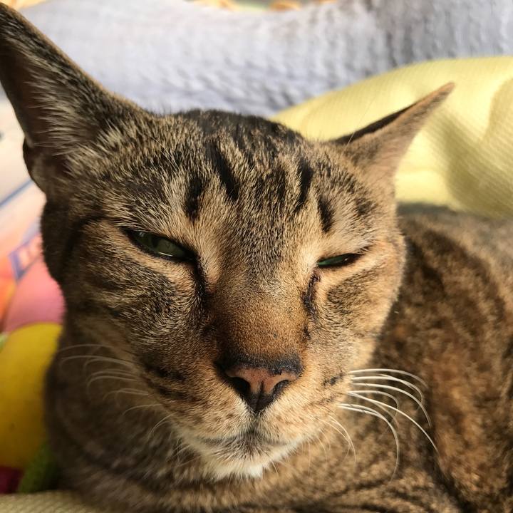 732ba2ac 7a99 4723 8337 b32b5129c977