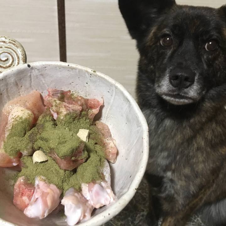 732c4eb1 e151 4267 9779 238e03ece180