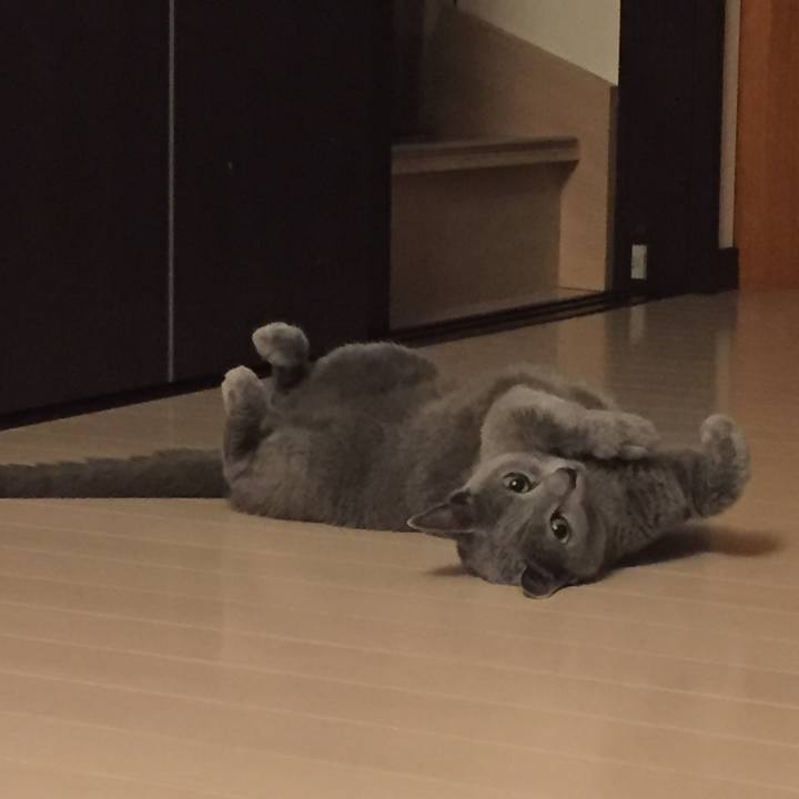 732d11ba db24 44a2 b47c 7868be3ec943