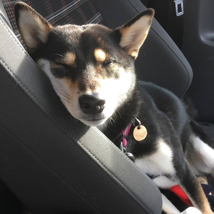 732d65ab ece6 4189 b06b a9585bd5e147