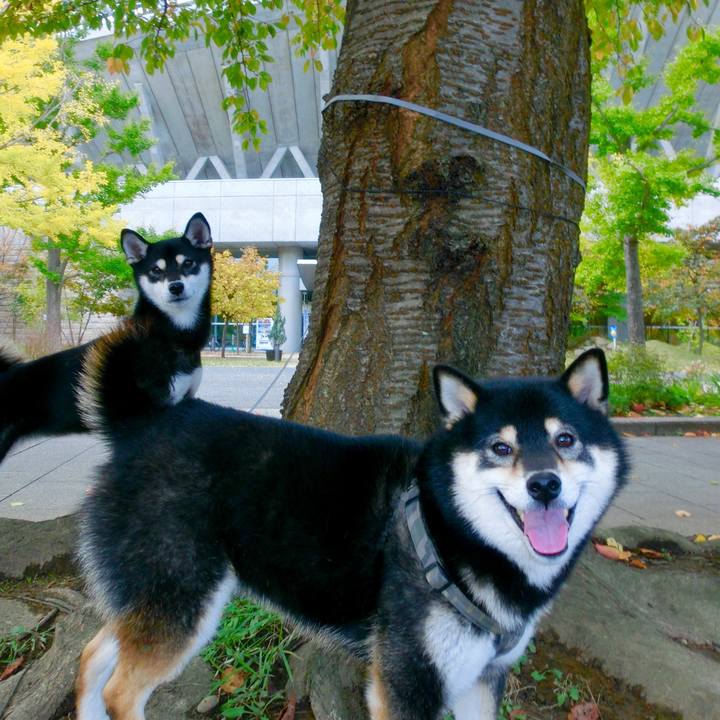 732db0c7 b528 4dc9 8afc d1cfa909b078