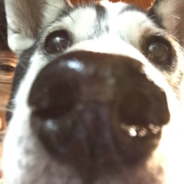 732dc011 bd36 40e9 bdfe 0273c99d0f10