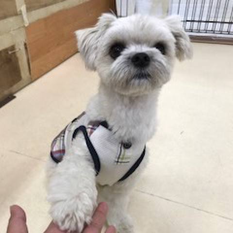 732deadf 10a1 4738 bede f5ba57a626da