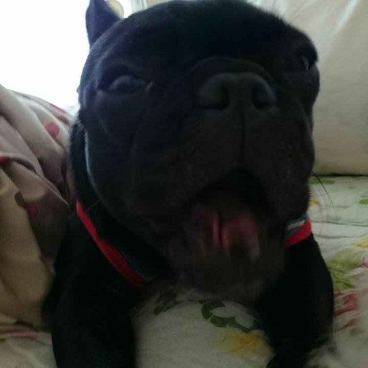 732eaa37 50b3 490b 8db2 6caf0af40eeb