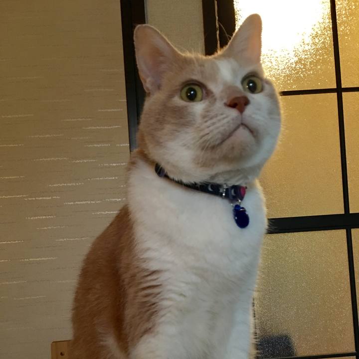 732eceda aba1 430c b359 5bb1ae55ccb6