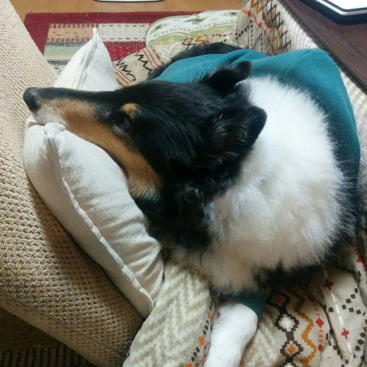 732ed120 6cb9 416a b786 fa3cb9c40f34