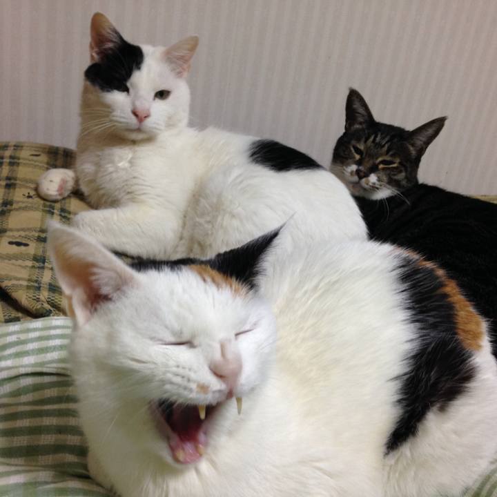 732f13af ba28 4090 b376 460dcbac76d2