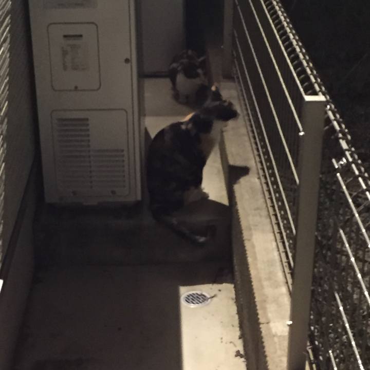 732fb716 f4bd 45c5 a600 5665152f2573