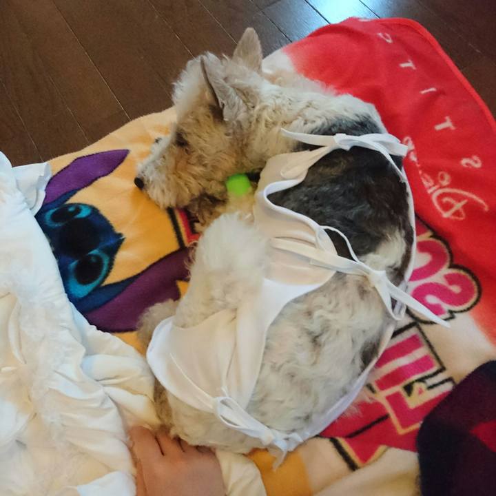 732fb8b4 042d 4aae 8b37 26f99ce61fc5