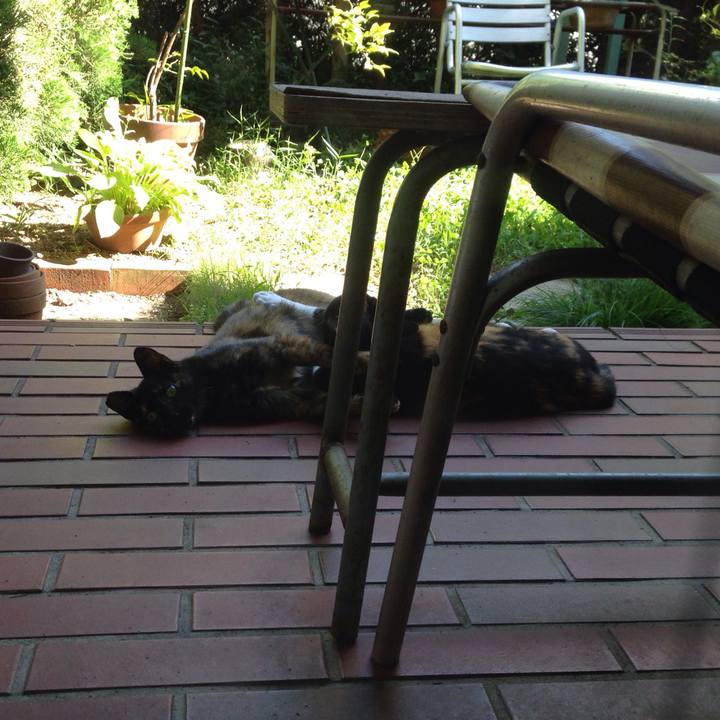 733012e8 fba9 482d a698 c8a7413c4a7d