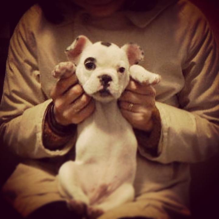 7330cea0 d0d0 4866 b525 d5fbf657aaef