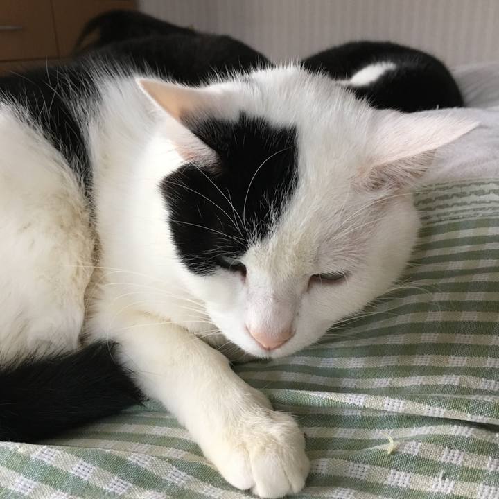 7330fffd db09 4d91 a68f 7728f8cd35ee