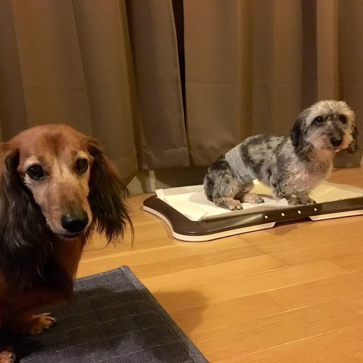 73318a65 714d 4593 9393 89bff80ae766