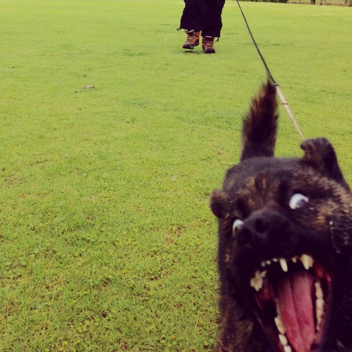 7331e192 628c 4be1 8799 a5b6ab0eb89a