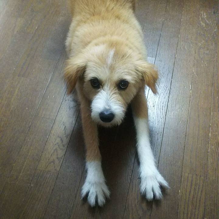 73329b48 a814 4afb b681 7ff4cb4f3010