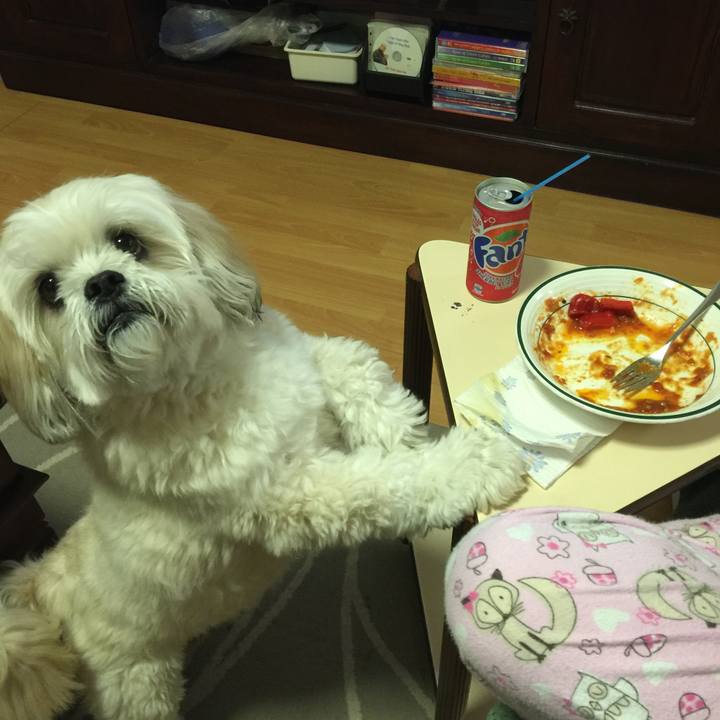 733302c4 135b 4f8b bd12 4e6f697cf381