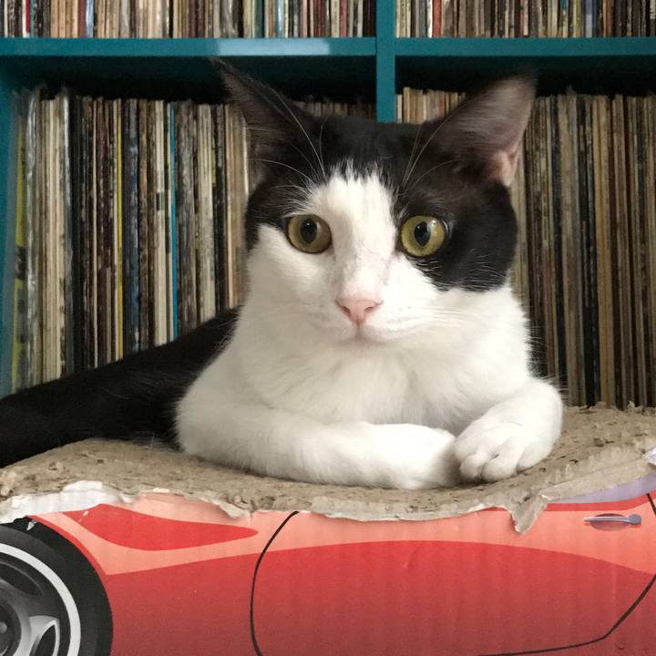 733342b7 2c90 425e 9ad5 f6e5b46ccb68