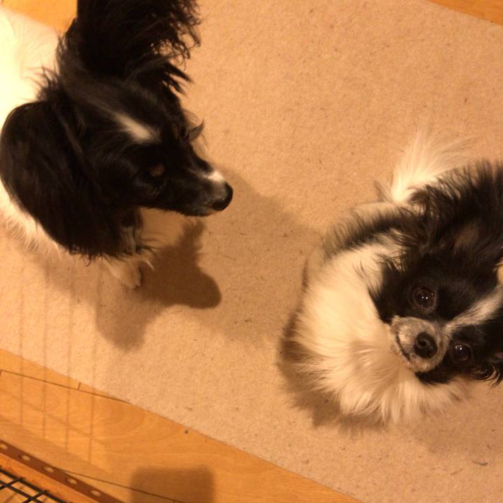 73338131 5aa2 42b8 83ed c58079b90b12