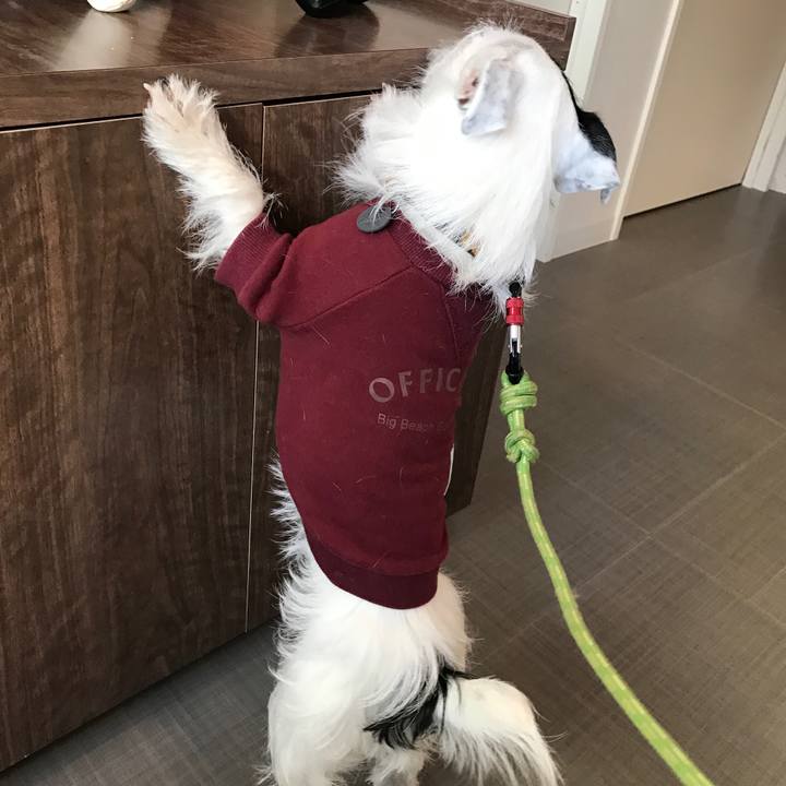 7333b654 7384 4d10 9e4e 6c03a3eff2e9