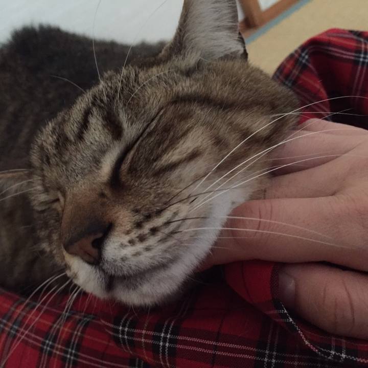 7333c66e 903a 4dab bff3 5b2c61139fbd