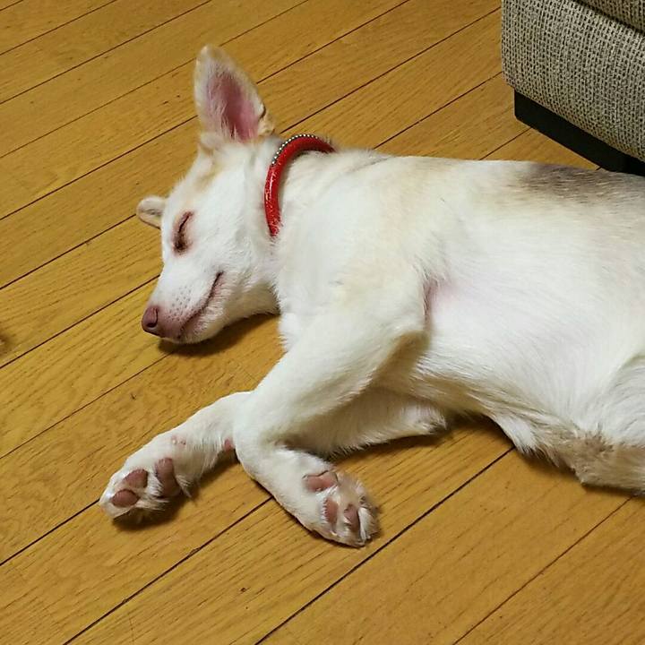 733404f4 5116 412b 98c8 829f82bc8f8b