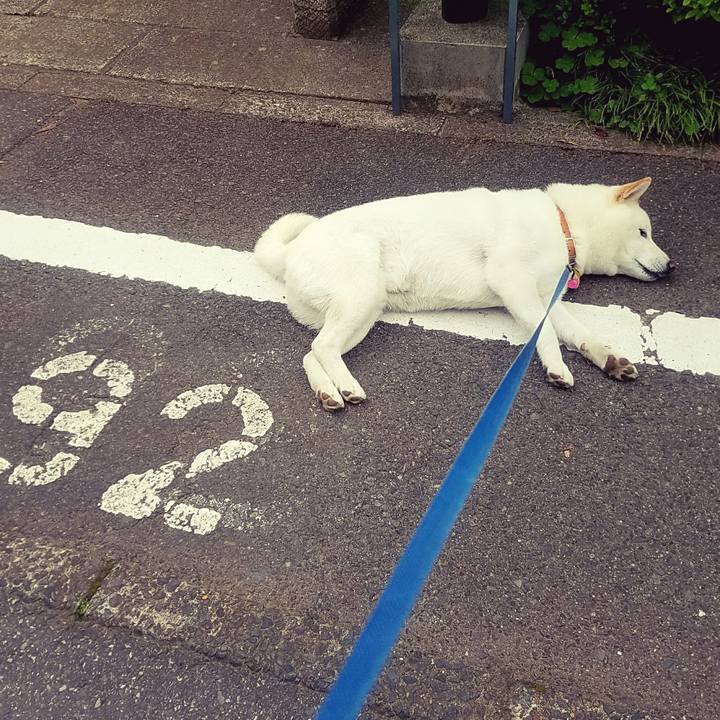 7334234c fbc1 4e5e adee ca8dcf367acf