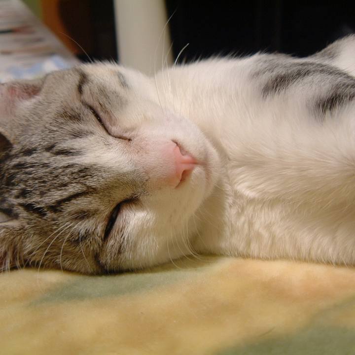 73348913 369a 45e0 8f90 92e0b10d0b79