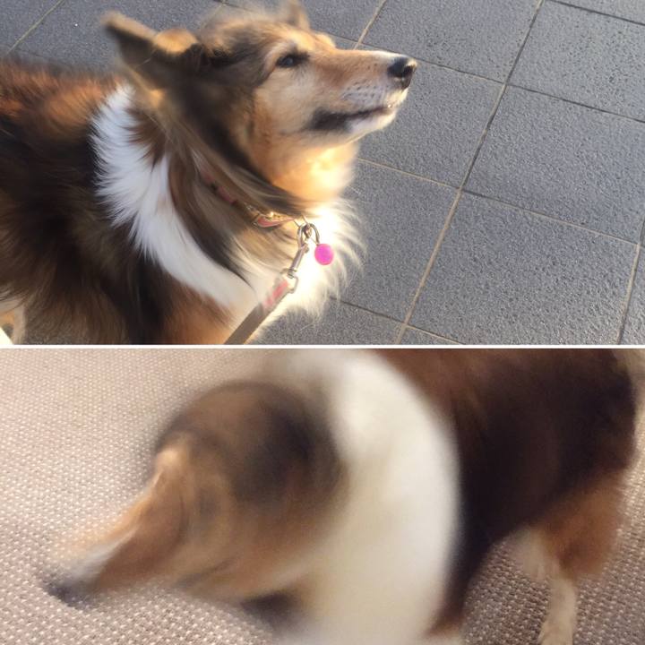 73351368 d379 4127 b7c3 a13a4a7f7639