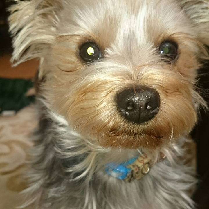 7335d53f 7598 46d5 b0d7 4b42fefb6622