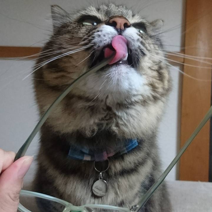 7335f91a 2a62 40f6 8a6a 14bab3e996b8