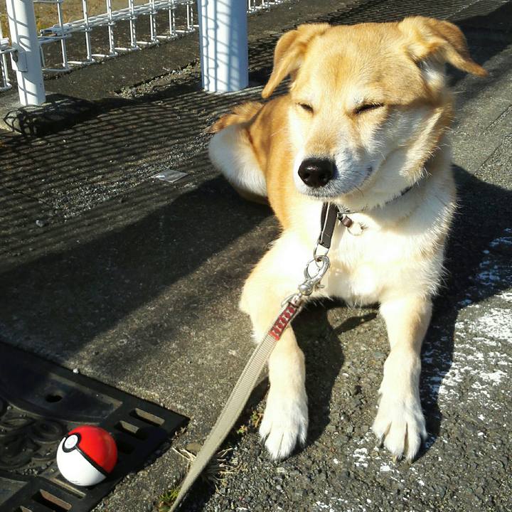 73370222 b319 44ff b0a4 96cf8db8305f