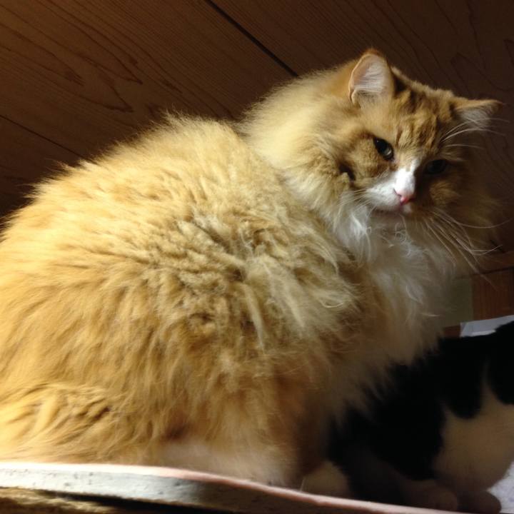 7337803b d3f4 471f 8fa6 a06880275030